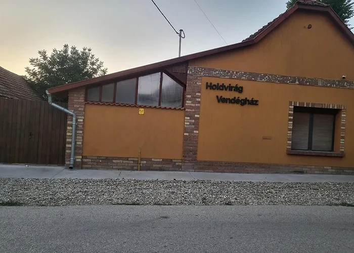 Holdvirag Vendeghaz 펜션 *